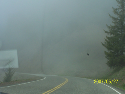 [ To Hurricane Ridge ]