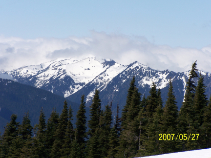 [ Hurricane Ridge, a view of the Olympic Mountains 3 ]