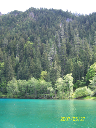 [ Lake Crescent 2 ]